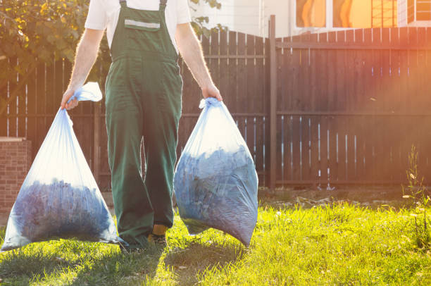 Best Office Junk Removal  in Martinsvle, IL